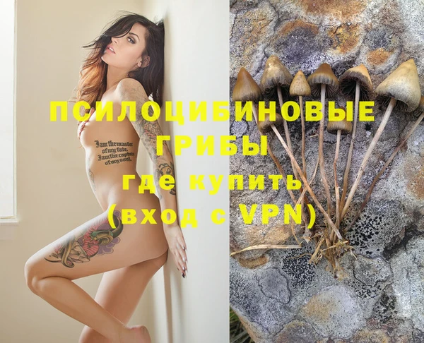 ешки Гусь-Хрустальный