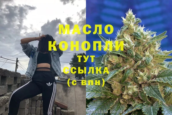 ешки Гусь-Хрустальный