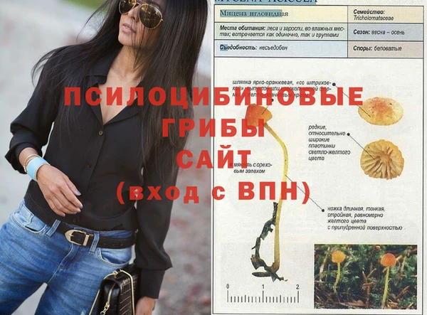 мдпв Горняк
