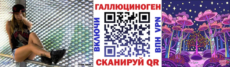 Псилоцибиновые грибы Cubensis Купить где Катайск